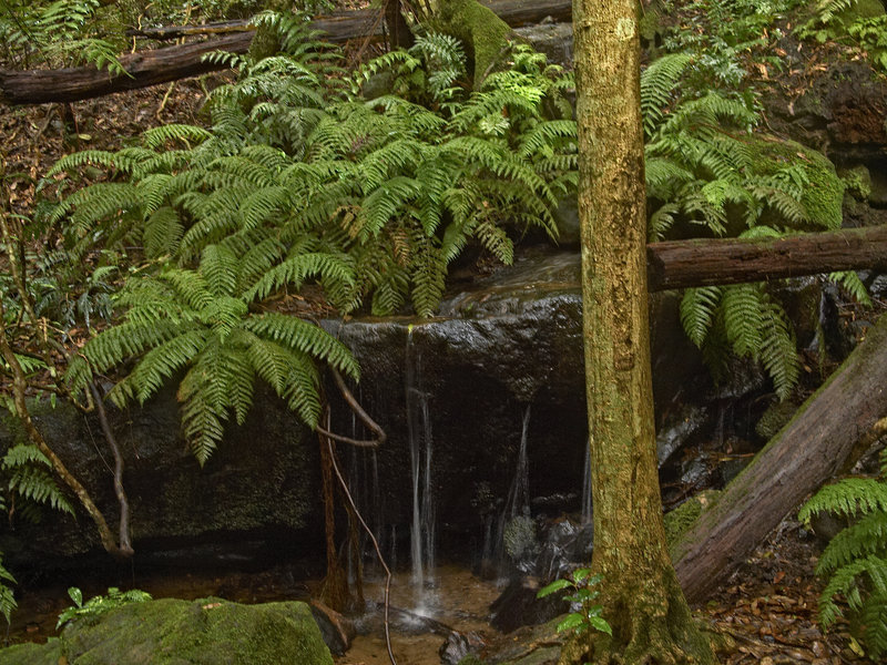 Blue Mountains